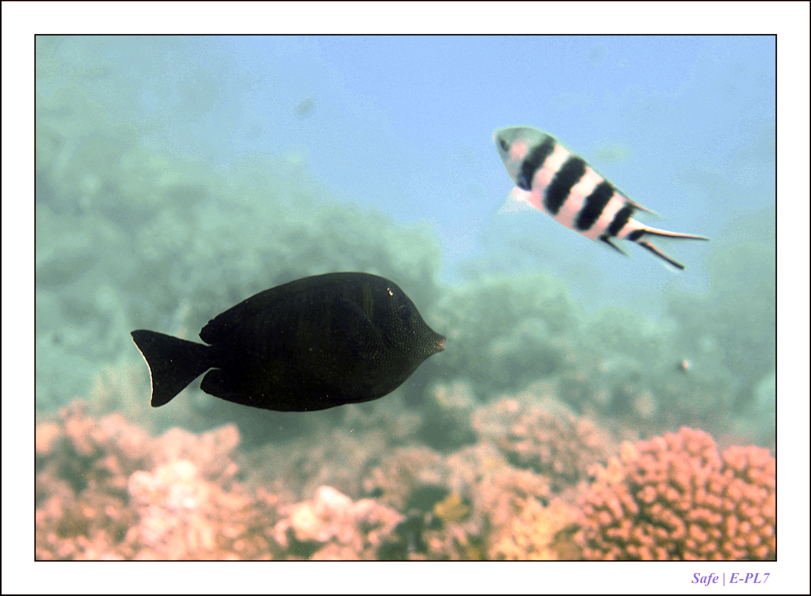 Hurghada - Juillet 2021 - 060